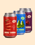Mix of real Happiness  - 6x330 ml